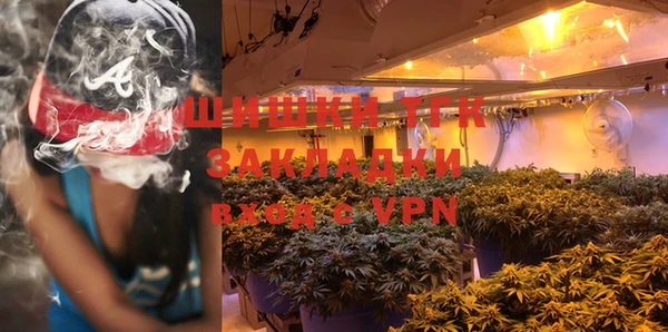 apvp Няндома