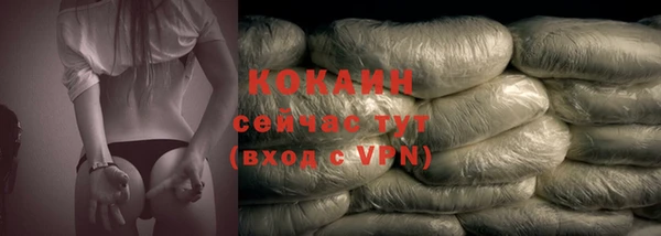 apvp Няндома