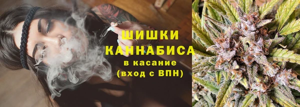 apvp Няндома