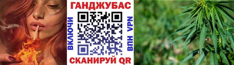 Бошки марихуана сатива  Струнино 